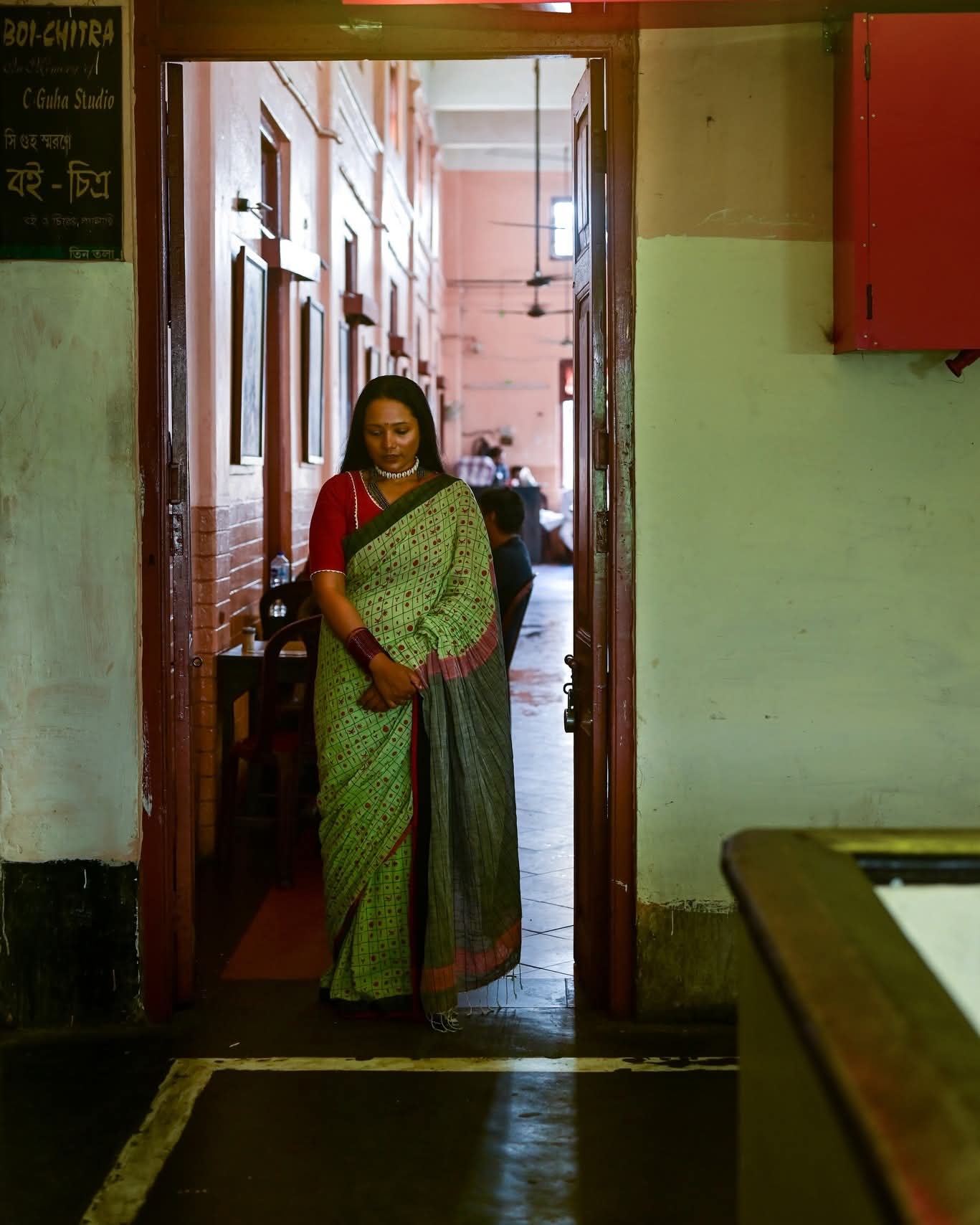 BINDIS OF INDIA 004 - HAND BLOCK PRINTED SAREE